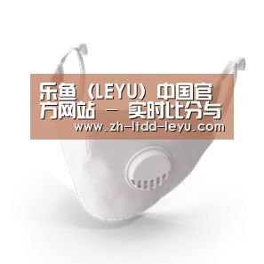 N95 口罩