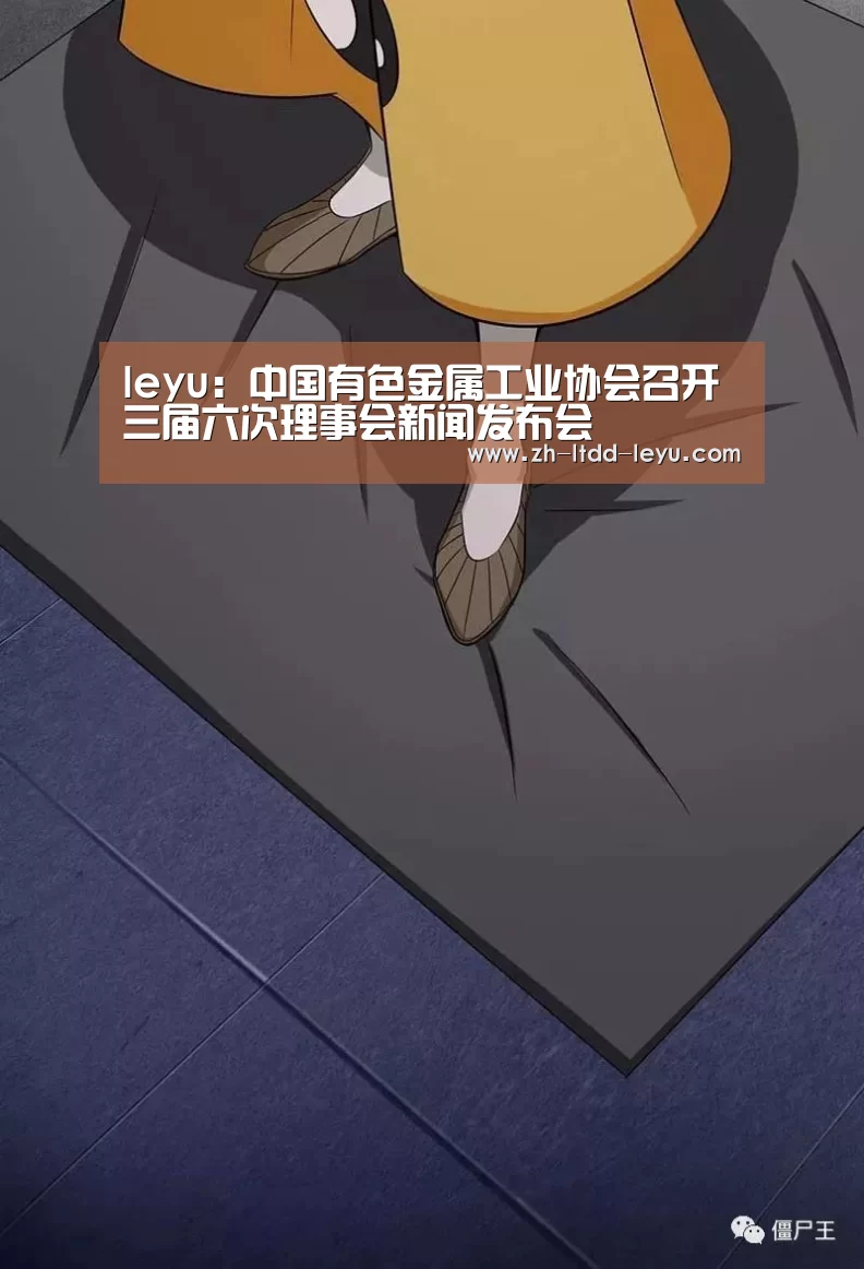 leyu：中国有色金属工业协会召开三届六次理事会新闻发布会