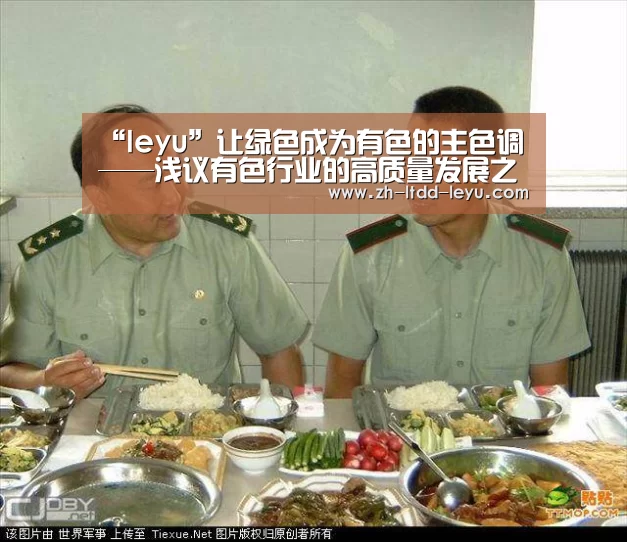 “leyu”让绿色成为有色的主色调——浅议有色行业的高质量发展之路⑤(图3)