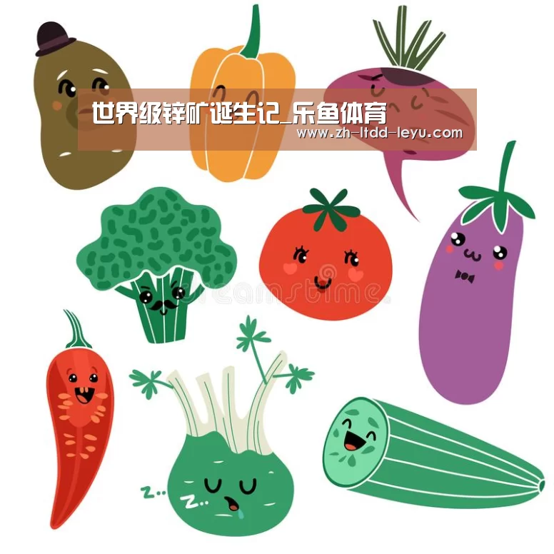 世界级锌矿诞生记_乐鱼体育