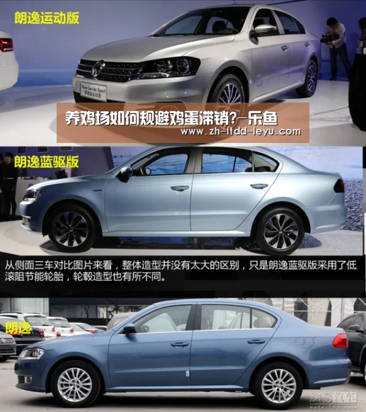 养鸡场如何规避鸡蛋滞销?-乐鱼