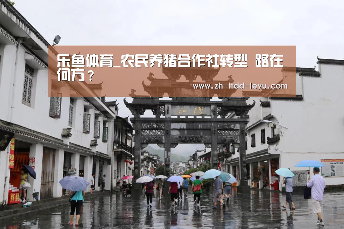 乐鱼体育_农民养猪合作社转型 路在何方？