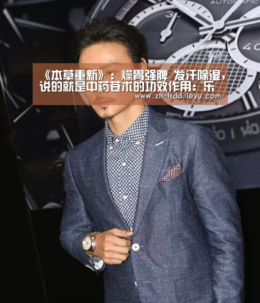 《本草重新》:燥胃强脾 发汗除湿,说的就是中药苍术的功效作用:乐鱼体育(图3) 乐鱼