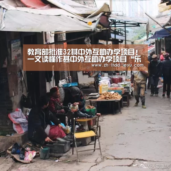 
教育部批准32其中外互助办学项目！一文读懂作甚中外互助办学项目“乐鱼”