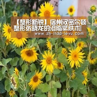 【整形新锐】宿州汉密尔顿整形张晓龙的溶脂紧肤术|乐鱼体育