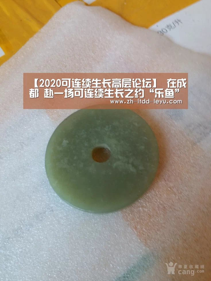 【2020可连续生长高层论坛】 在成都 赴一场可连续生长之约“乐鱼”(图4) 乐鱼体育