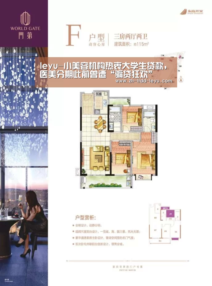 leyu-小美容机构热衷大学生贷款,医美分期此前曾遭“骗贷狂欢”(图2) 乐鱼